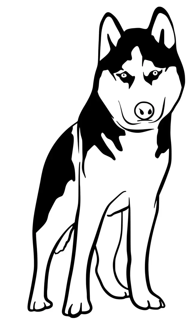 Coloriage Husky expressif à colorier - Chien à imprimer
