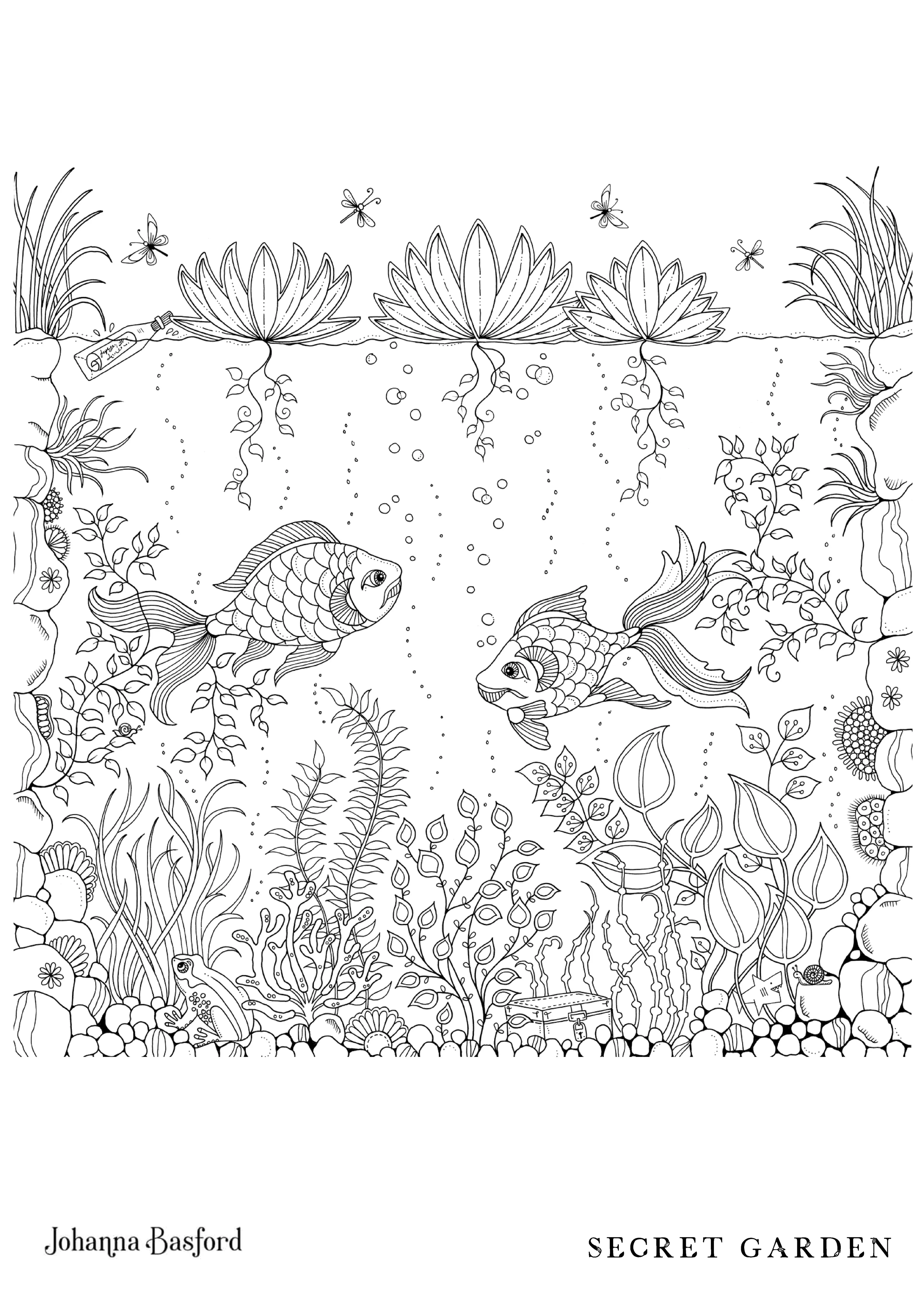 Coloriage Étang de nénuphars du jardin secret - Adulte par johanna basford à imprimer