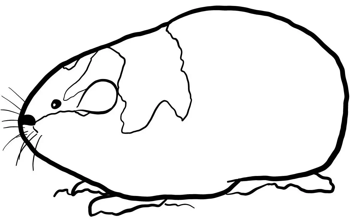 Coloriage Lemming - Animaux sauvages à imprimer