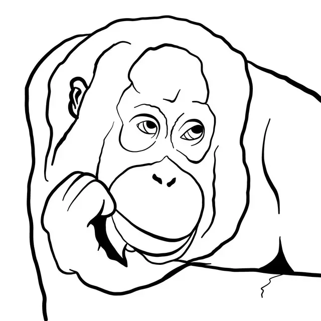 Ausmalbild Orangutan Kopf zum Ausdrucken