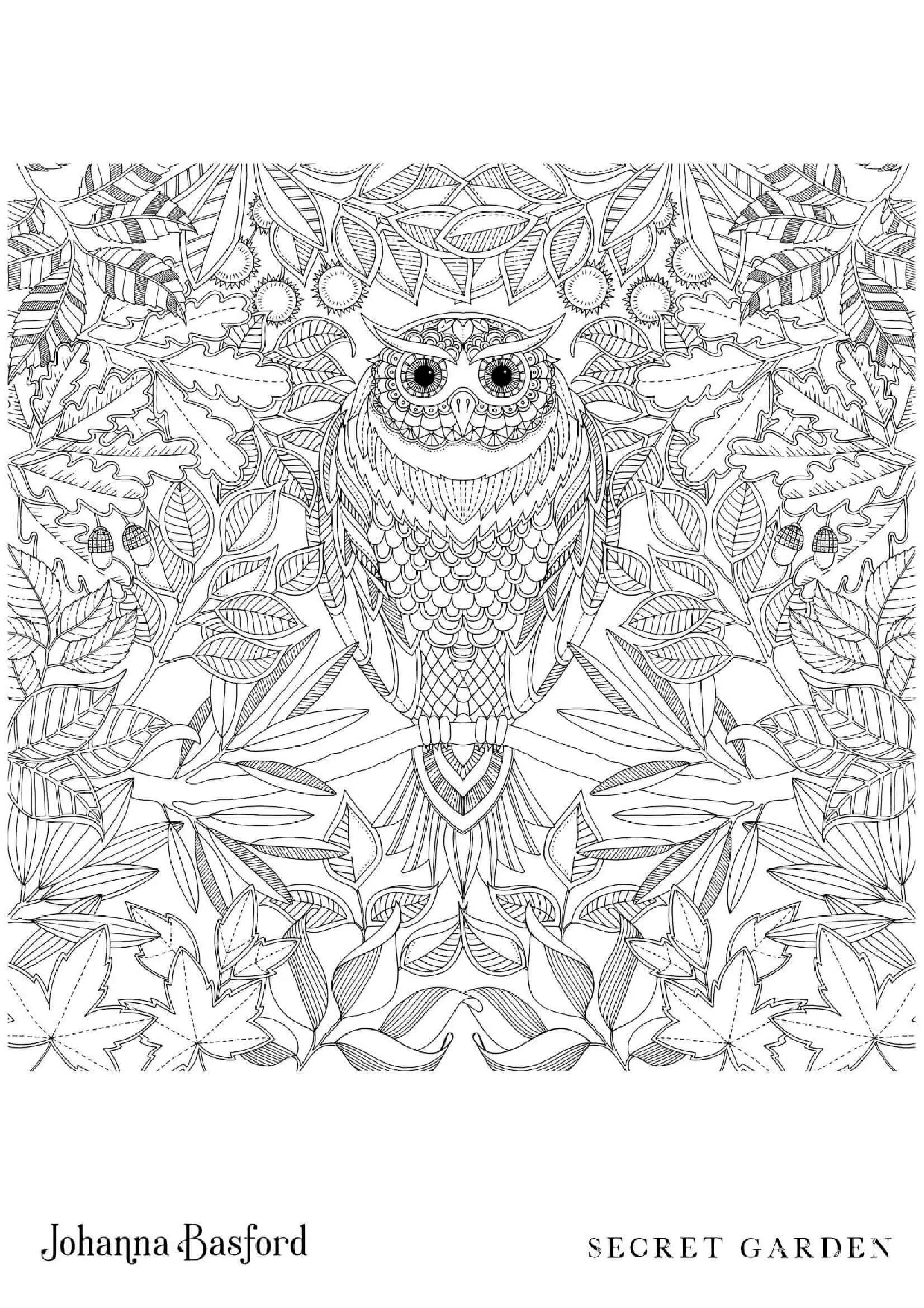 Coloriage Hibou du jardin secret - Adulte par johanna basford à imprimer