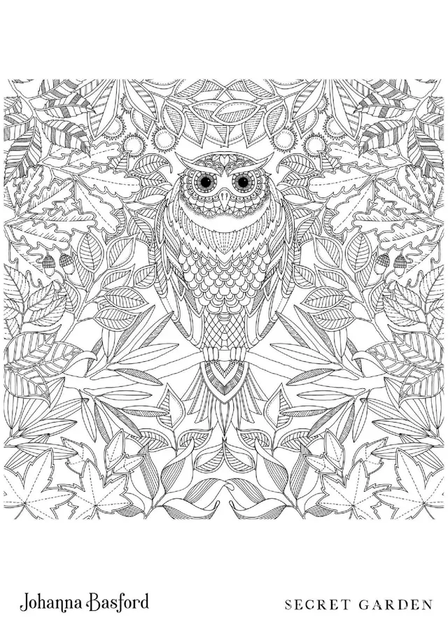Secret Garden Owl coloring page to print