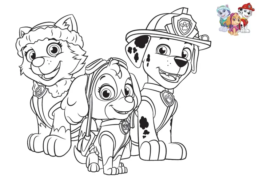 Kleurplaat Paw Patrol met Stella, Everest en Marcus om te printen