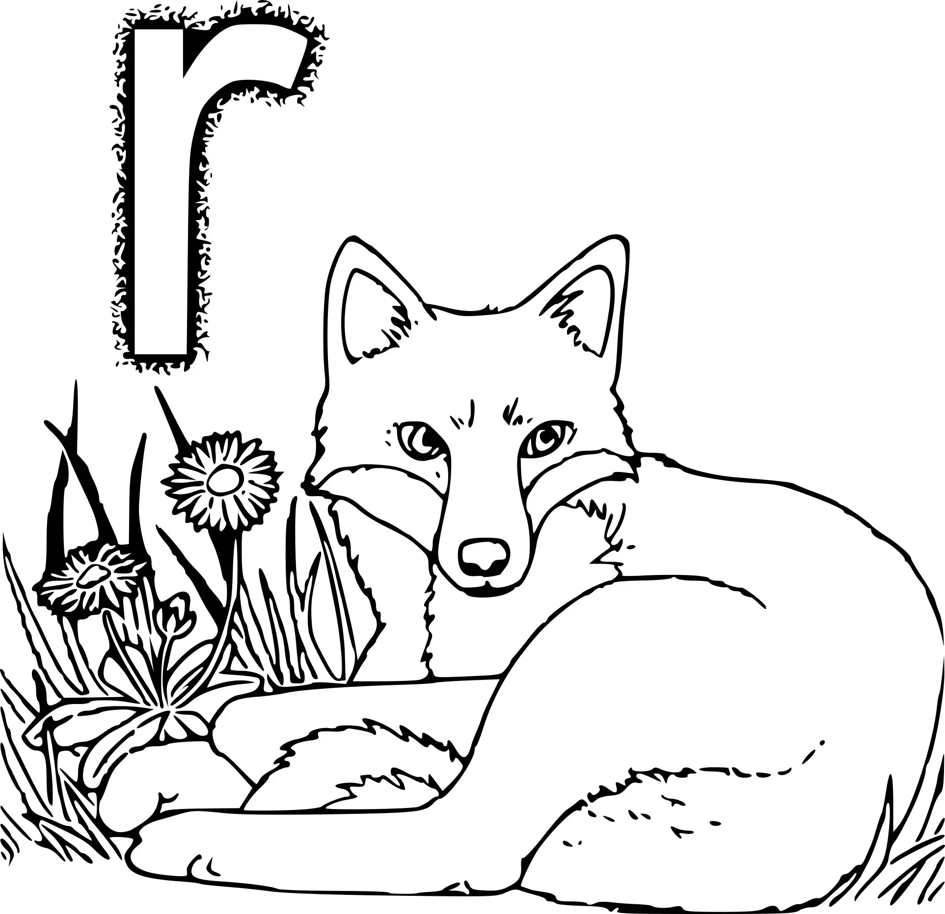Coloriage R Comme Renard - Renard à imprimer