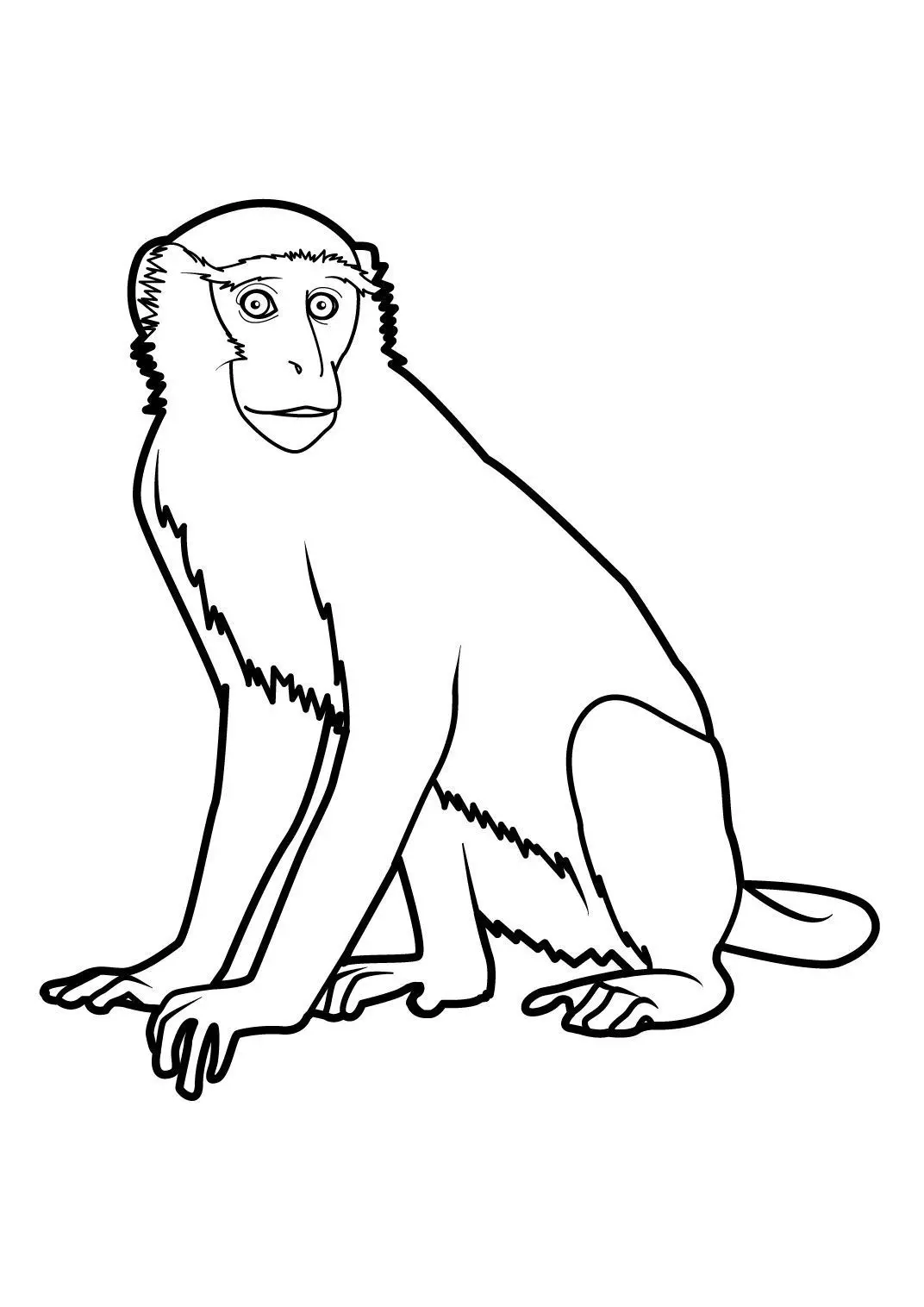 Coloriage Jeune macaque souriant et joueur - Gulli à imprimer