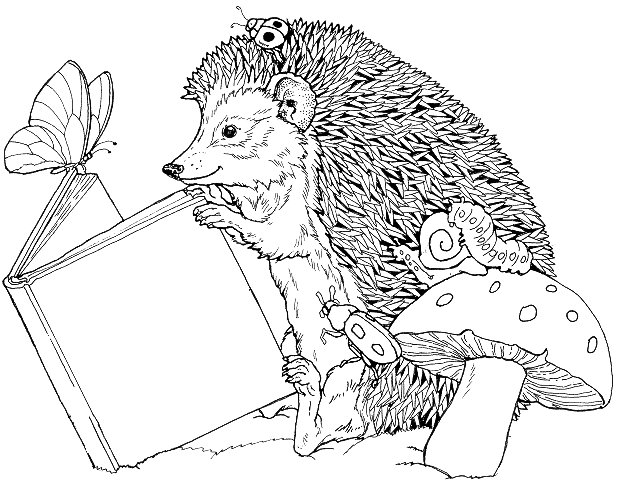 Coloriage Un Hérisson Qui Lit Un Livre A Cote D'Un Champignon - Hérisson à imprimer