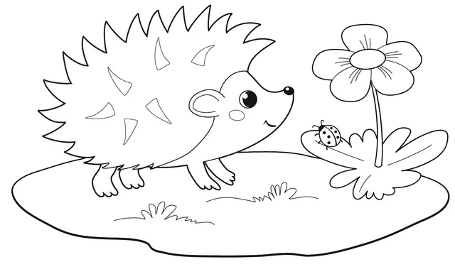 Coloriage Adorable Hérisson Dans La Nature Maternelle - Hérisson à imprimer