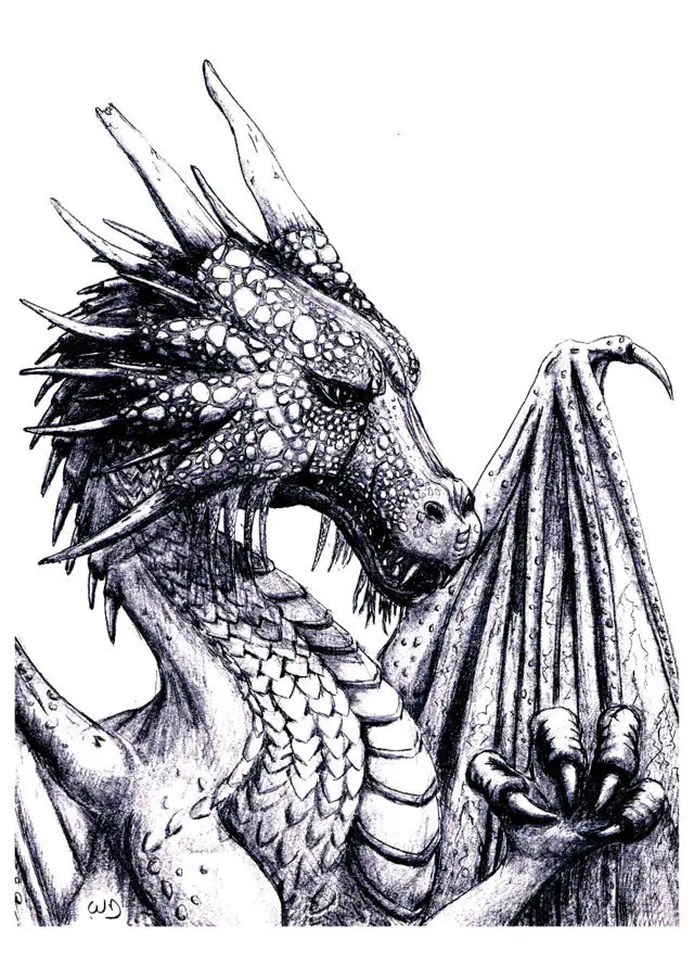 Coloriage Adulte Dragon - Dragon à imprimer