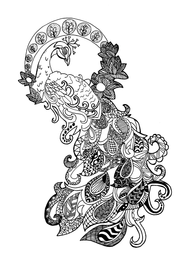 Coloriage Adulte Paon Zentangle Celine - Adulte à imprimer