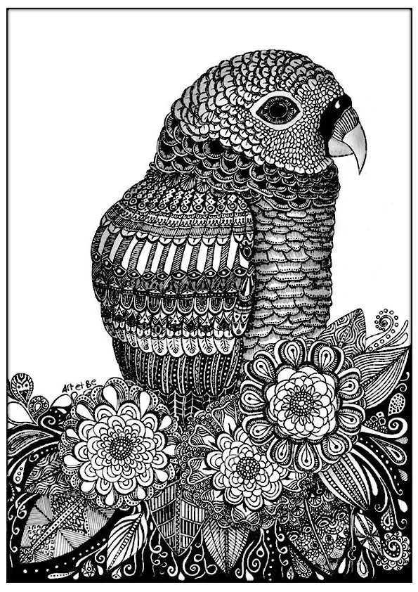 Coloriage Adulte Zentangle Oiseau Sabrina - Adulte à imprimer