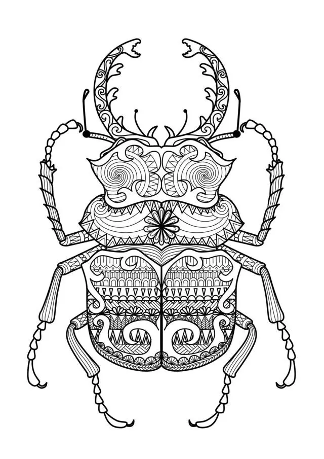 Coloriage Adulte Zentangle Scarabee Par Bimdeedee - Adulte à imprimer