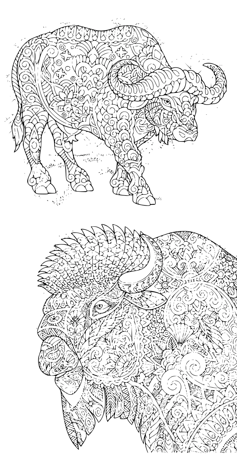 Coloriage Adultes Avec Bisons Antistress - Adulte à imprimer