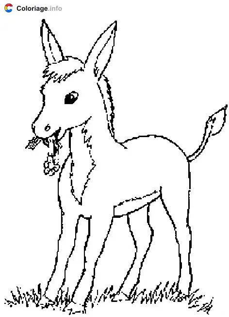 Donkey Eating coloring page to print