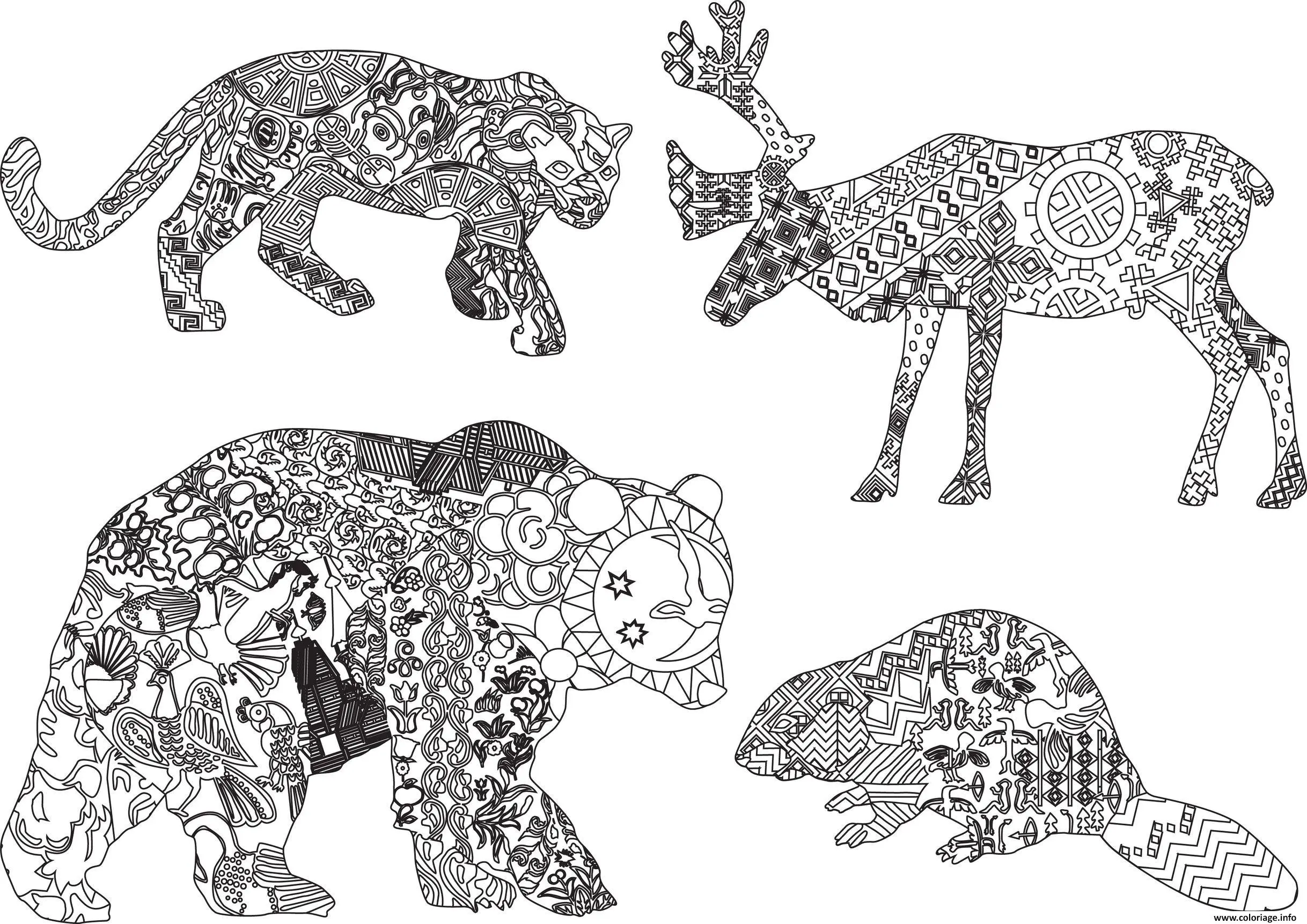 Coloriage Animaux Sauvages Mandala Pour Adulte - Animaux sauvages à imprimer