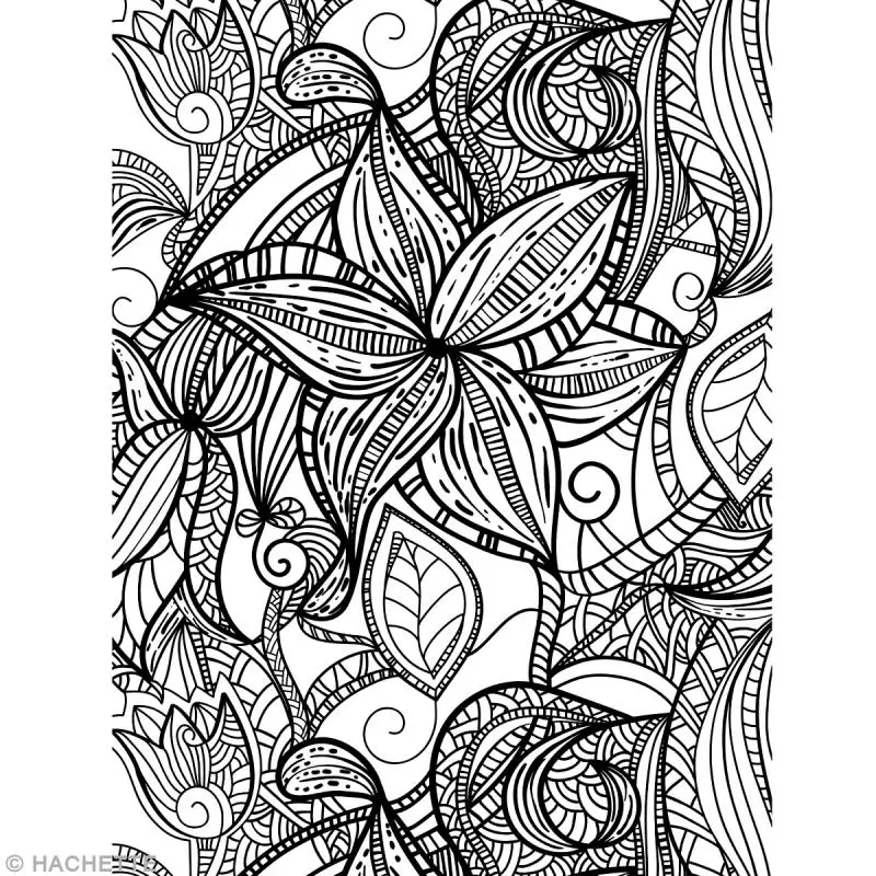 Coloriage Rosace méditative pour détente et bien-être - Adulte à imprimer