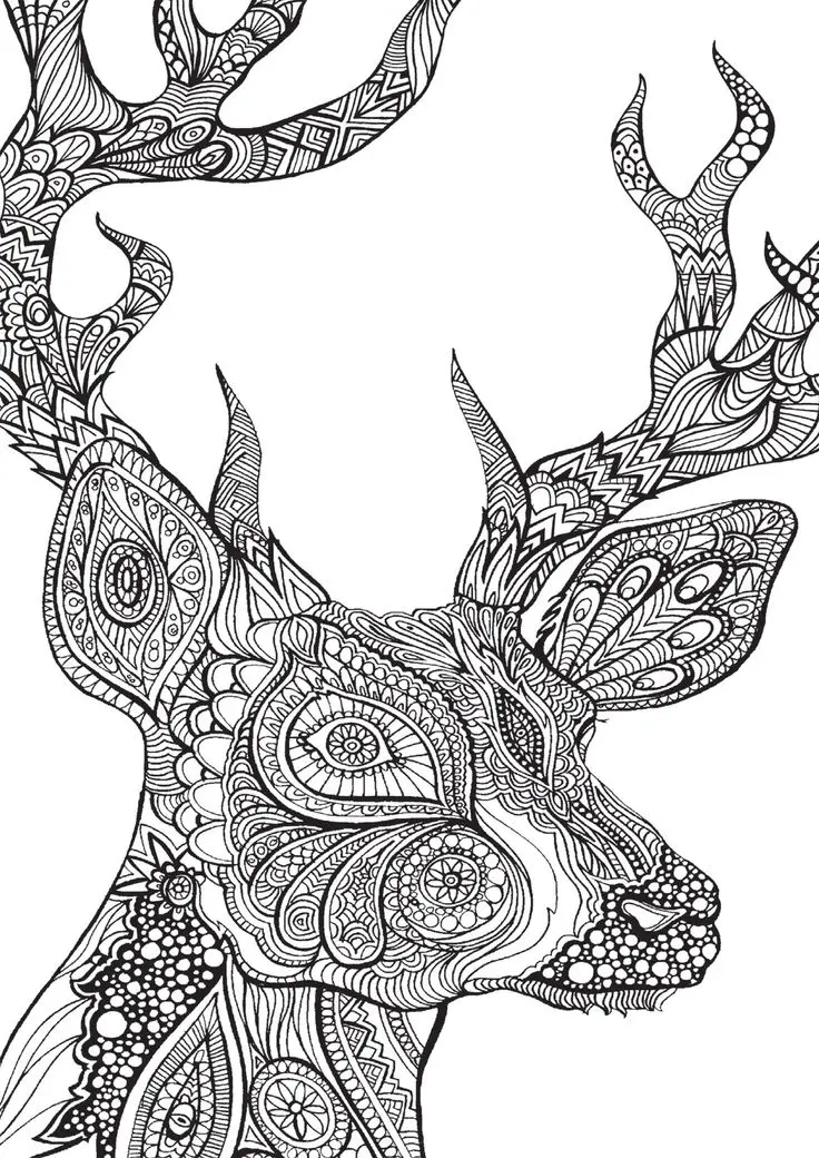 Coloriage Spirales et formes apaisantes pour adulte - Adulte à imprimer