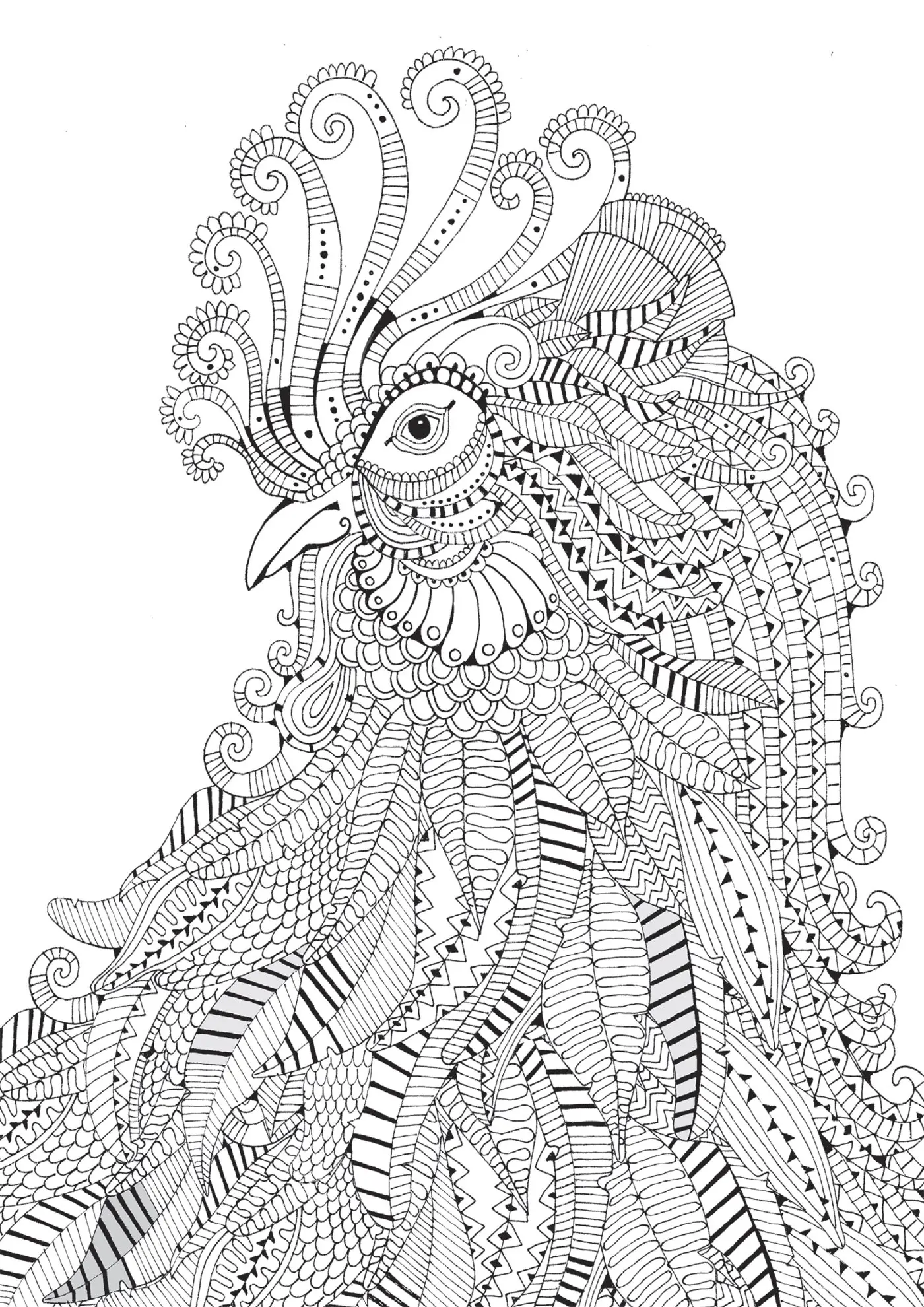 Coloriage Anti Stress Animaux Poule - Poule à imprimer