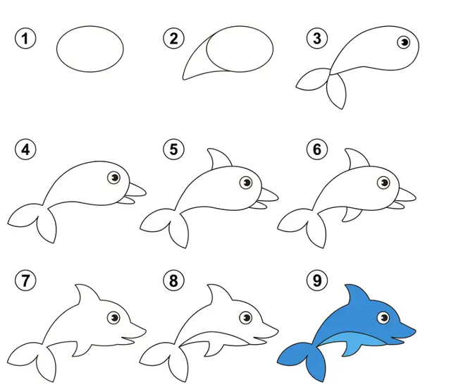 Coloriage Apprendre Comment Dessiner Dauphin - Dauphin à imprimer