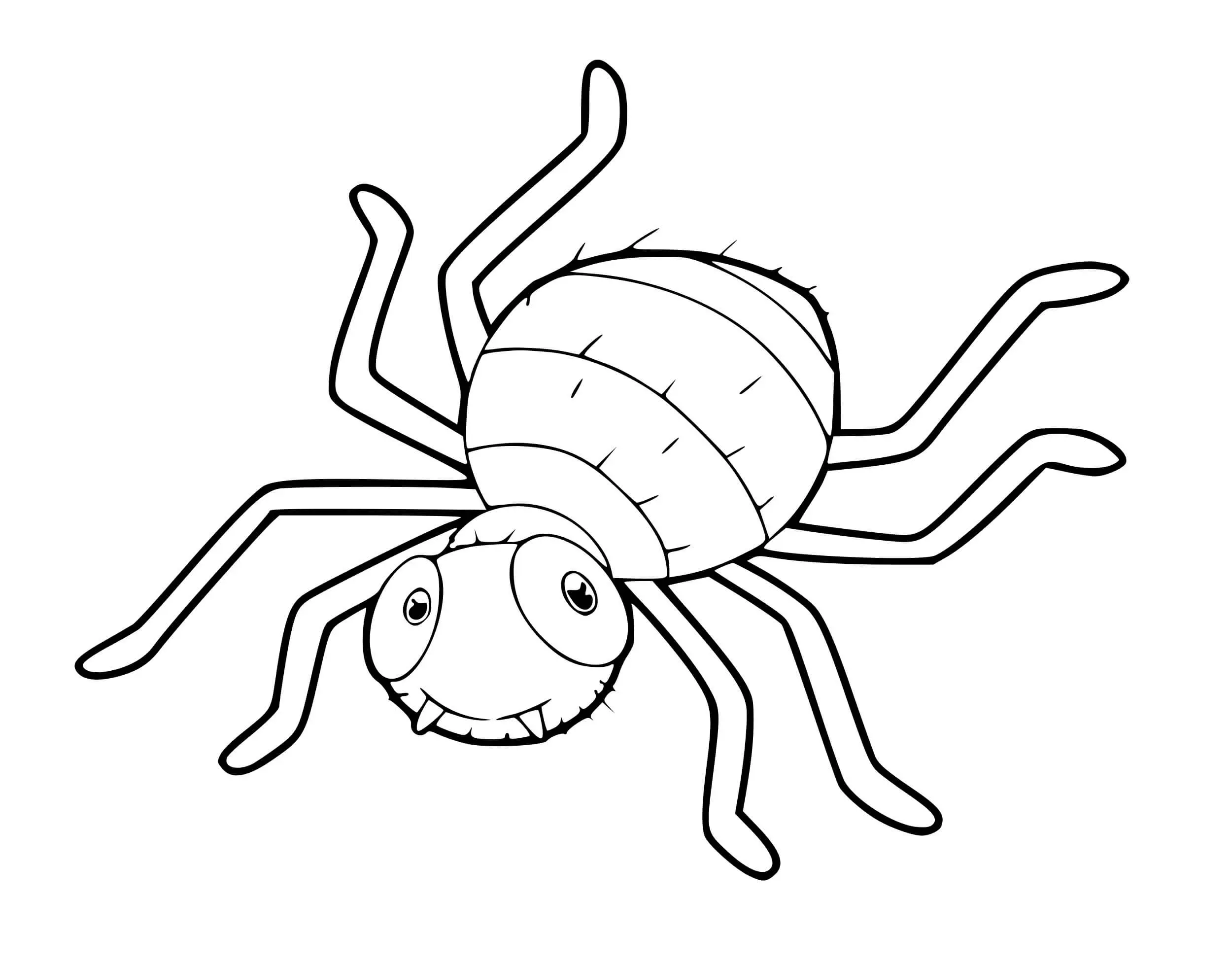 Coloriage Araignée Nourrisson - Araignée à imprimer