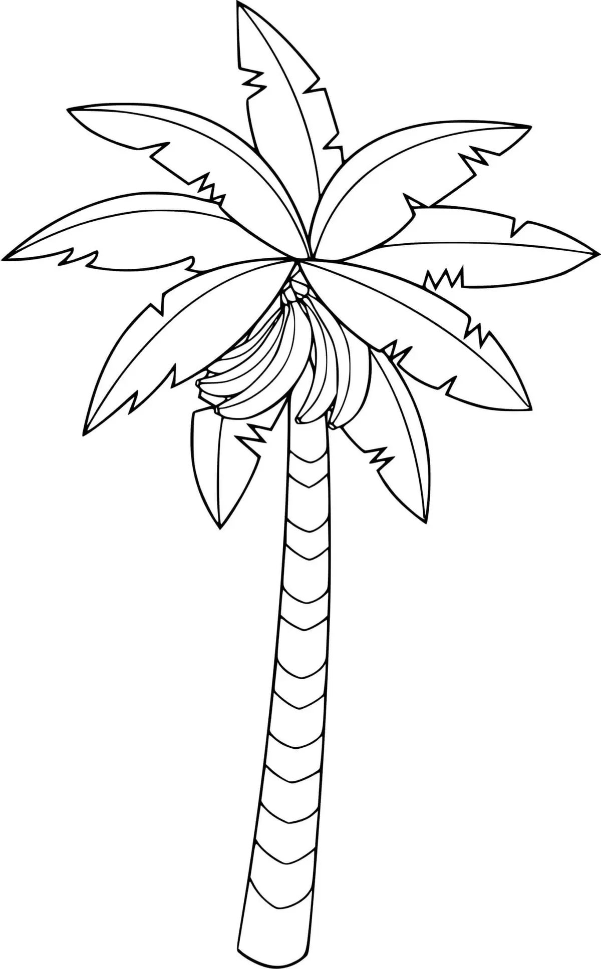 Ausmalbild Bananenbaum mit reifen Bananen zum Ausdrucken