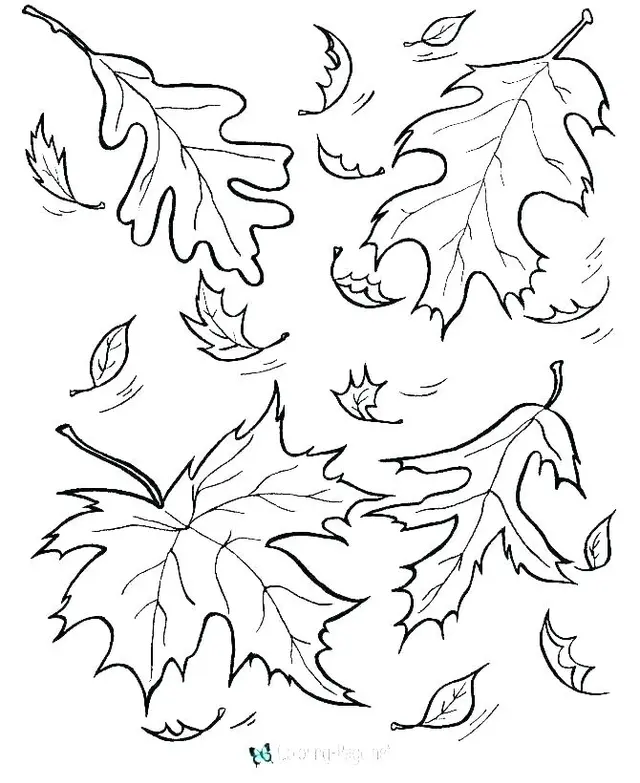 Coloriage Automne Feuilles Fall - Feuille automne à imprimer