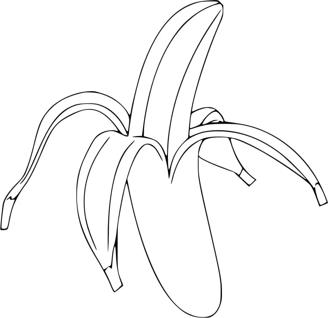 Bananas Growing on a Banana Tree coloring page to print