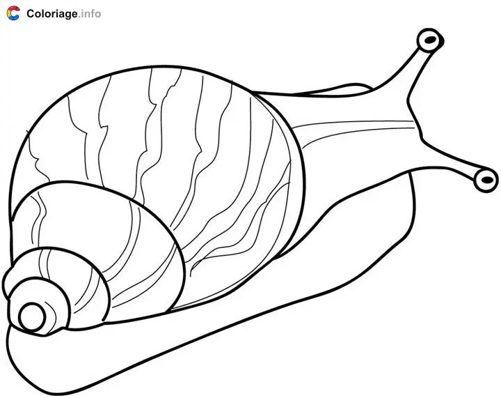 Beautiful Snail coloring page to print