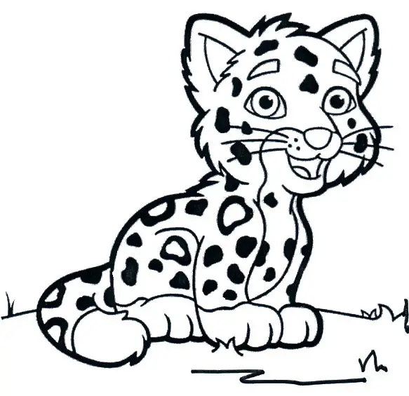 Coloriage Bébé Guépard - Animaux à imprimer