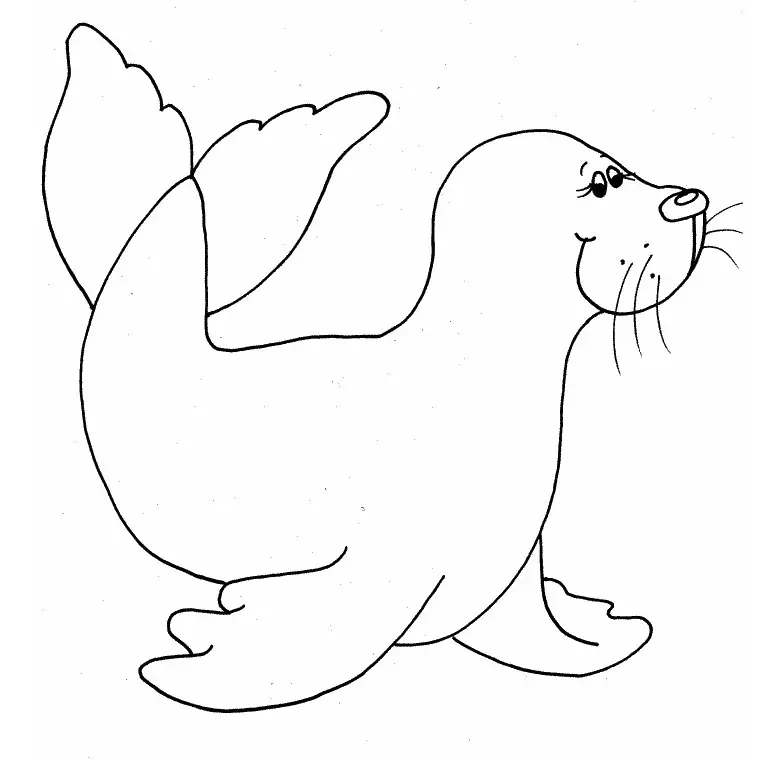 Coloriage Bébé Phoque - Animaux à imprimer
