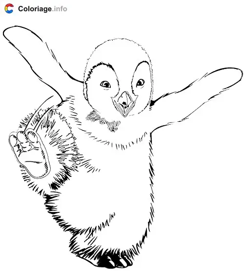 Coloriage Bebe pingouin - Pingouin à imprimer