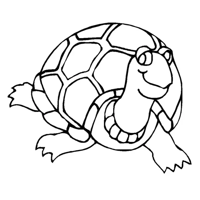 Coloriage Bébé Tortue - Bébé à imprimer