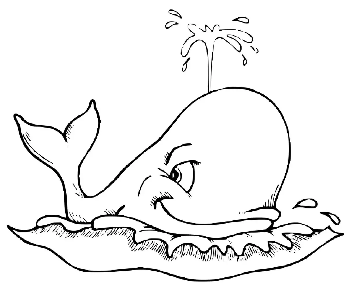 Dibujo de Beluga para colorear