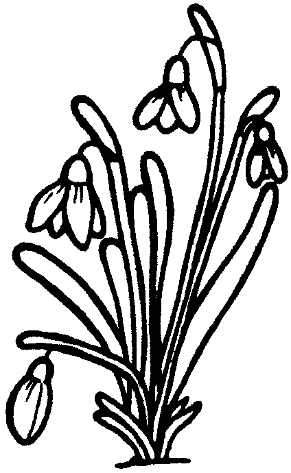 Coloriage Bouquet de fleurs aux pétales délicats - Fleurs à imprimer