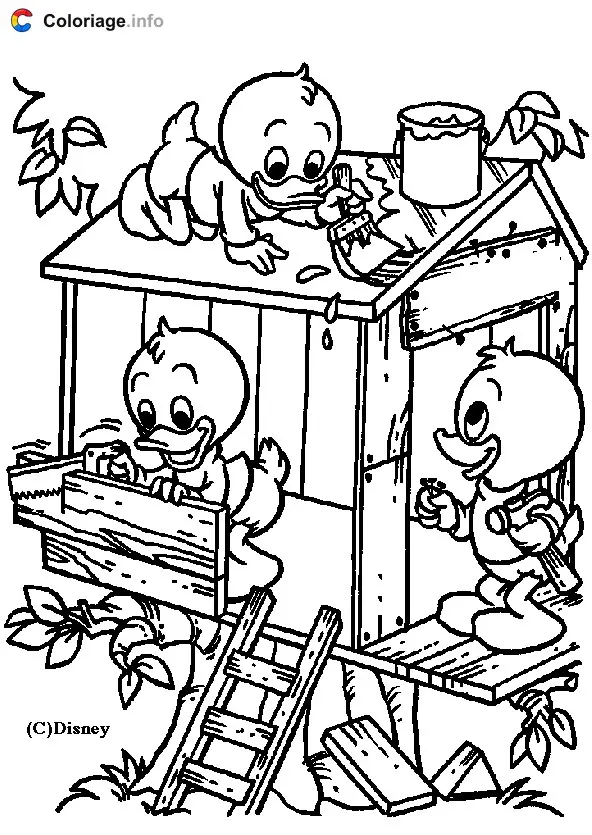 Donald Duck's Nephews' Cabin coloring page to print