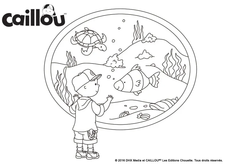 Coloriage Caillou Visite Un Aquarium Avec Des Animaux Marins - Caillou à imprimer