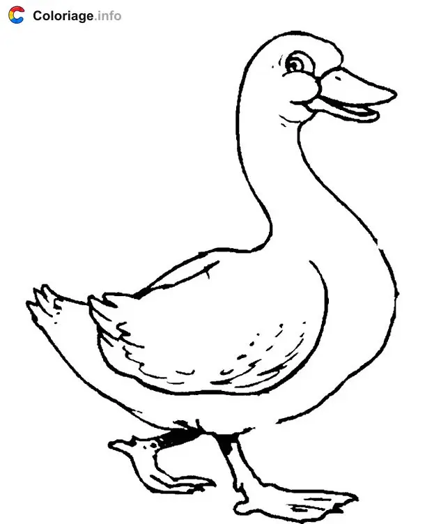 Duck coloring page to print