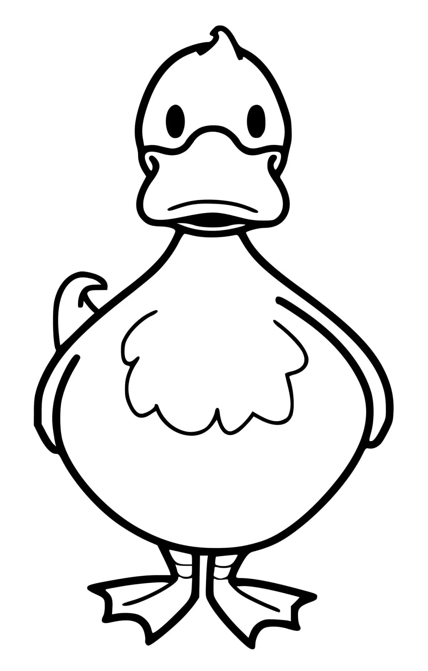 Coloriage Canard Oiseau - Canard à imprimer