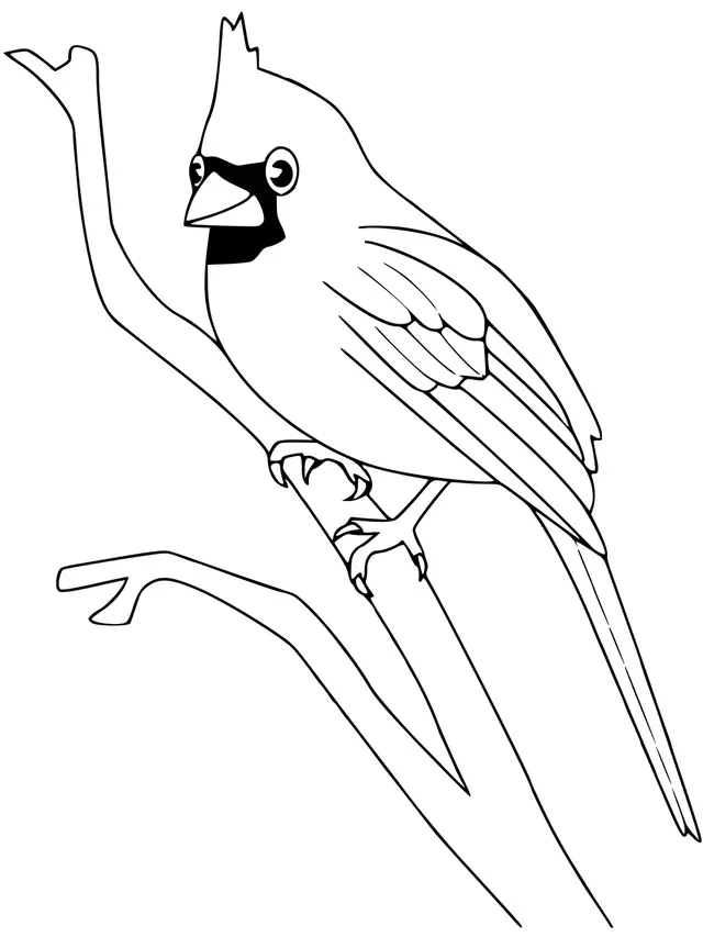 Coloriage Cardinal Oiseau - Oiseau à imprimer