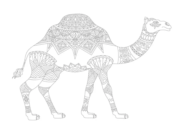 Coloriage Chameau Adulte Égypte - Égypte à imprimer