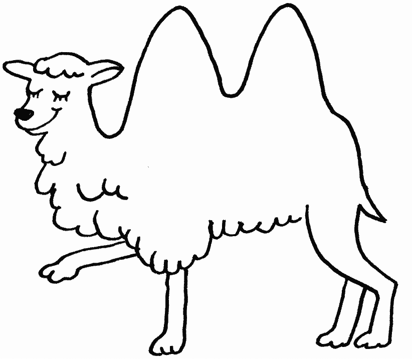 Coloriage Chameau Avec Ses 2 Bosses - Chameau à imprimer