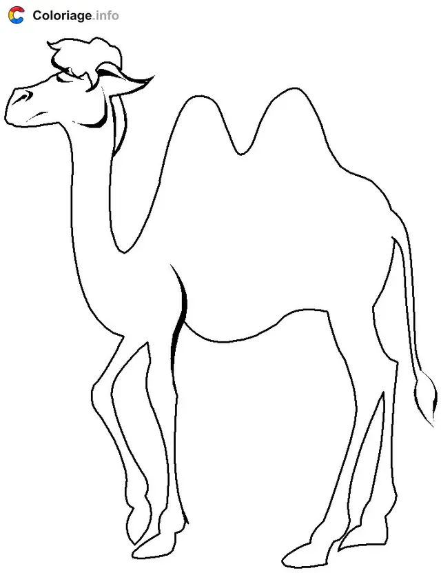 Coloriage Chameau de profil - Chameau à imprimer