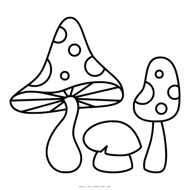 Coloriage Champignon Amanite Jonquille Et Phalloide - Champignon à imprimer