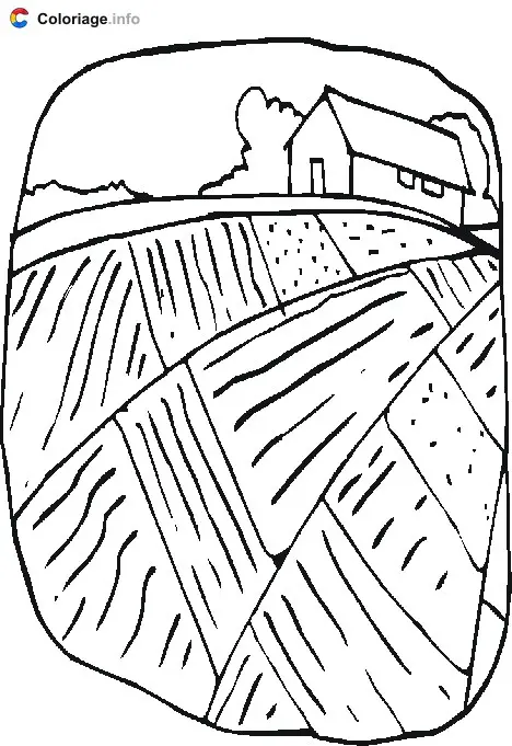 Coloriage Champs - Animaux de la ferme à imprimer