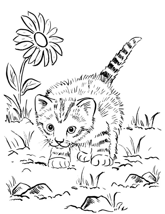 Coloriage Chaton Super Mignon Jouant Au Jardin - Chat à imprimer