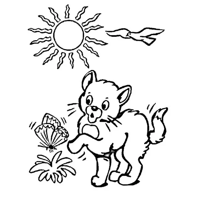 Coloriage Chaton - Chat à imprimer