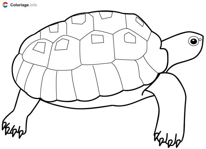 Sea Turtle coloring page to print