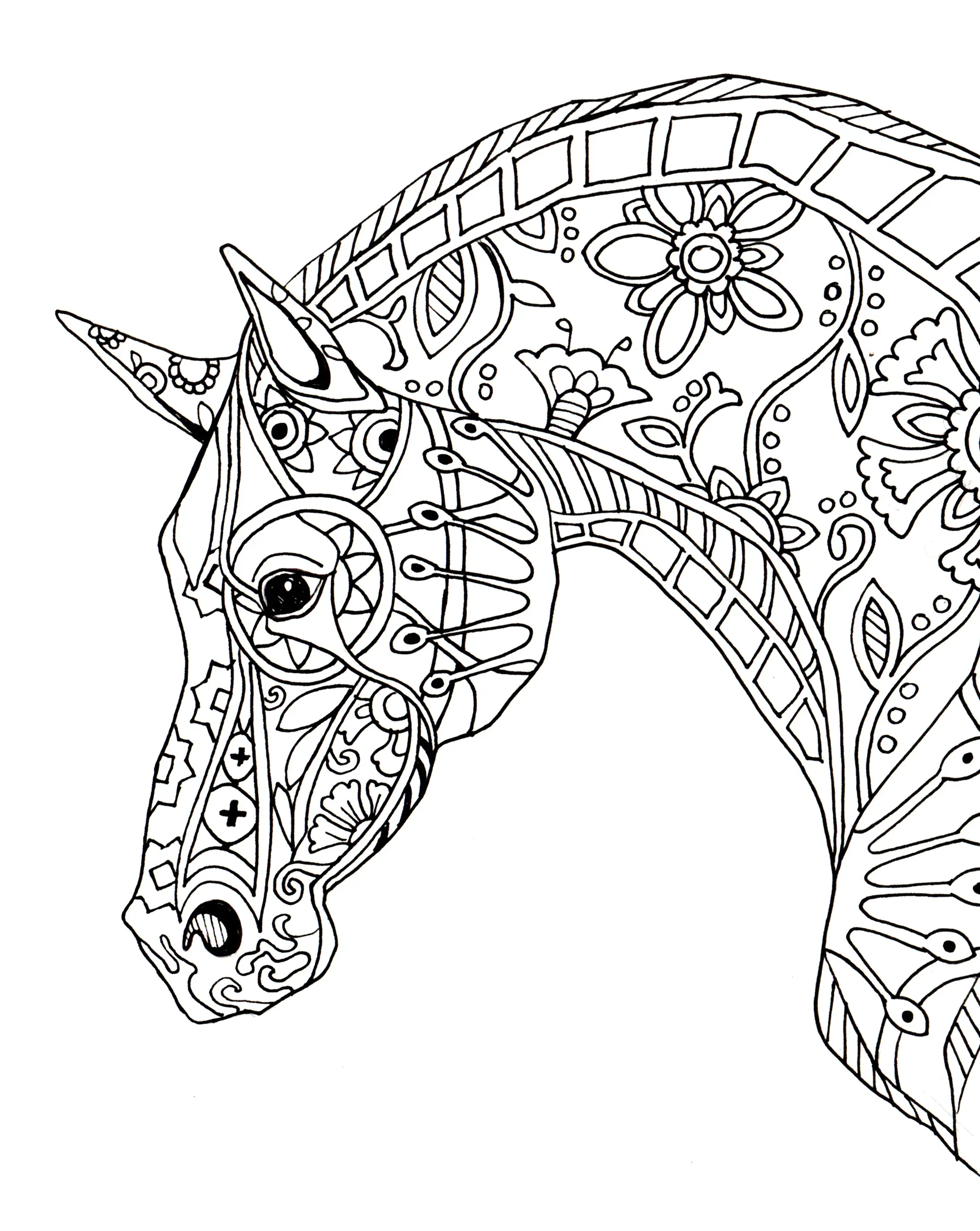Coloriage Cheval Adulte Décorative Horse Profile - Adulte cheval à imprimer