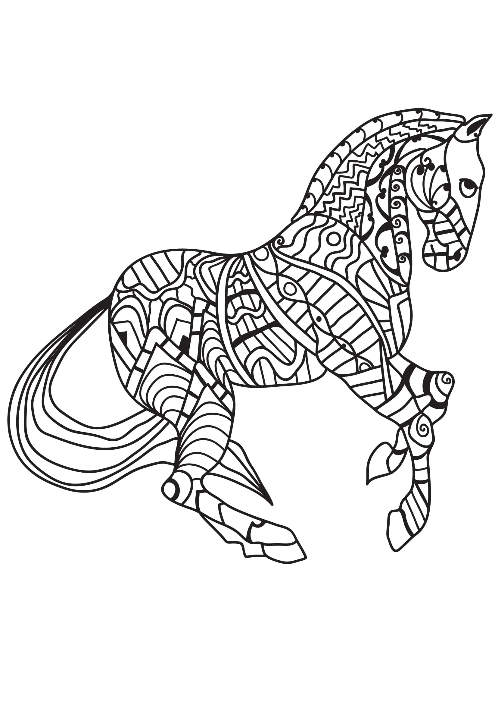 Coloriage Cheval fougueux en galop pour adulte - Adulte cheval à imprimer