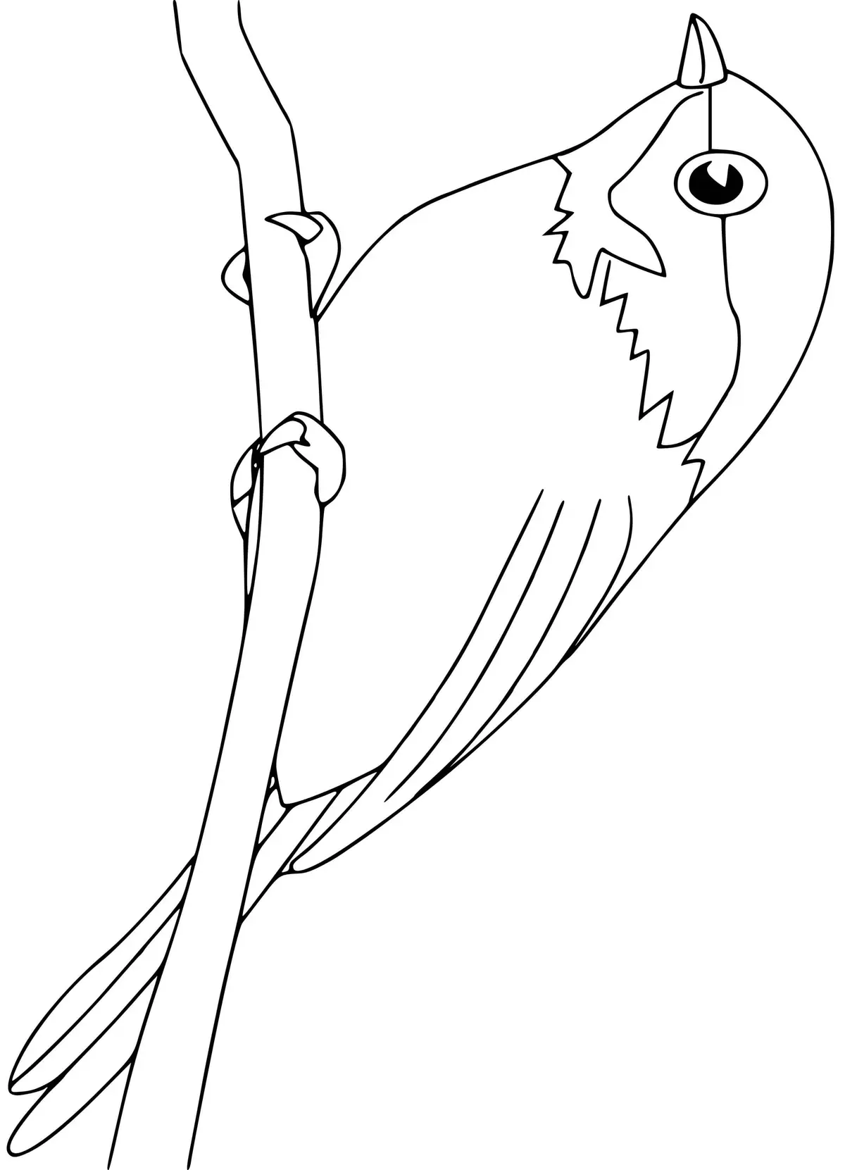 Kleurplaat Mees vogel om te printen