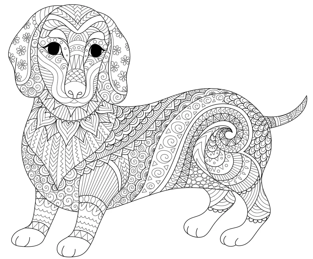 Coloriage Chien Saucisse Dachshund Teckel Mandala - Adulte à imprimer
